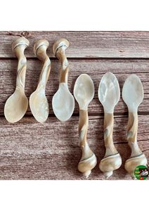 Premium Seashell Spoon Mother Of Pearl Handmade Craft Product For Retail Gift And Home Decoration - Product Image 5