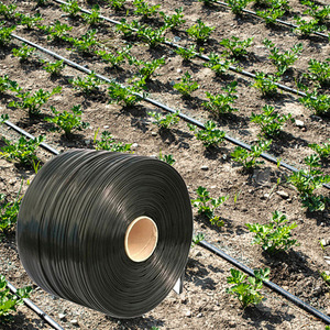 Emisores de goteo de 5/8 "1.5LPH cada 60cm para sistemas de enrejado de viñedos - Product Image 1