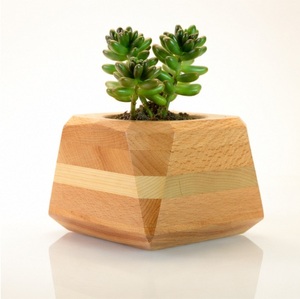 Maceta Geométrica de Madera Hecha a Mano para Suculentas, Moderna Maceta de Madera Sólida para Decoración de Escritorio, Hogar y Jardín Interior - Product Image 1
