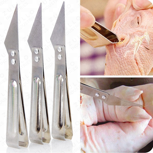Pinzas Profesionales para Monedas al por Mayor, Pinzas de Acero Inoxidable para Uso Dental, Quirúrgico y Médico, Herramientas Reutilizables para el Cuidado de la Salud - Product Image 6