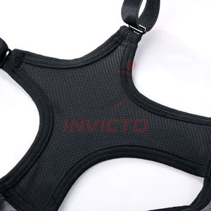Sujetador deportivo acolchado sin costuras para yoga, sujetador deportivo push-up para mujer, ropa deportiva para gimnasio, sujetador deportivo femenino en venta - Product Image 5