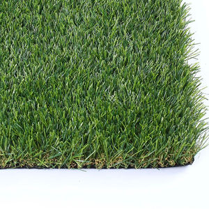 Poudre d'herbe de blé verte, extrait végétal de qualité alimentaire, poudre de feuilles pour jus, salades et nutrition quotidienne - Product Image 4