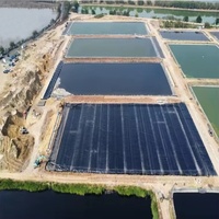 Геомембрана HDPE толщиной 1,5 мм: высокопрочный водонепроницаемый материал для полигонов ТБО и горнодобывающих проектов