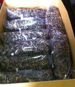 Hongos Oreja de Pana Negros Secos de Calidad de Exportación, Proveedor Certificado ISO, Origen Vietnam - Product Image 3