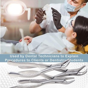 Ensemble de forceps d'extraction dentaire de qualité supérieure Cryer Cowhorn, pinces d'extraction universelles supérieures et inférieures, instruments en acier inoxydable - Product Image 6