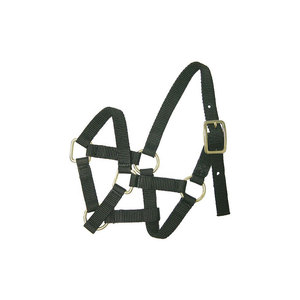 Nylon horse halter Patterned design for <b>equestrian</b> Brass hardware for horse Nylon horse bridle - Product Image 6