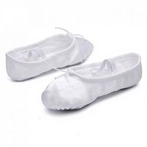Chaussures de danse classique OEM pour femmes, hommes et enfants, légères, en toile souple, semelle en cuir, fabrication sur mesure, vente en gros directe d'usine - Product Image 1
