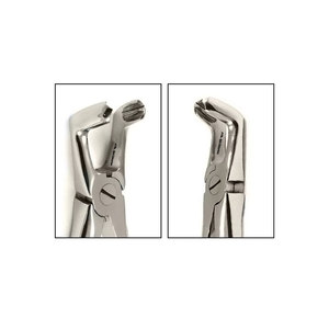 Pinzas de Extracción Dental Fig. 79, Instrumento Quirúrgico de Acero Inoxidable para Extracción de Premolares y Molares en Cirugía Oral - Product Image 3
