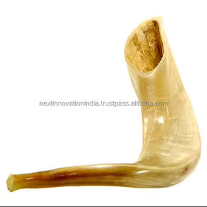 Espectacular Kosher Kudu Shofar Acabado semipulido genuino Estilo de Ángel religioso tallado de Israel - Product Image 1