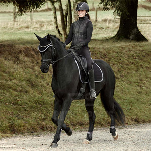 Protège-tendons de cheval de qualité supérieure avec support amortissant et protection durable pour la performance équestre quotidienne - Product Image 6