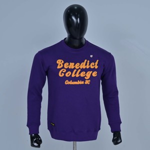 Sudadera al por mayor de cuello redondo unisex de Benedict College, ajuste regular, azul claro, informal, 100% algodón - Product Image 1
