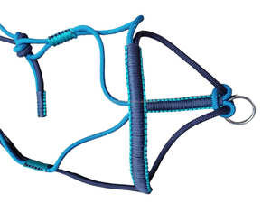 Meilleure vente sur mesure anglais équestre courses de chevaux tressé PP corde licou conception à la main dans une variété de couleurs prix Premium - Product Image 5