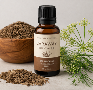 Caraway <b>Essential</b> <b>Oil</b> 100% Natural Steam Distilled Carum Carvi Seed <b>Oil</b> <b>for</b> Aromatherapy Skincare Cosmetic Use Bulk OEM Supplier - Product Image 1