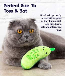 Wholesale Eco-friendly Green Cucumber <b>Plush</b> Chew Toy Interactive Puzzle Pet Supplies Training <b>Cat</b> with Catnip - Product Image 3