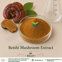 Extrait de champignon Reishi pur et naturel de qualité alimentaire, fourni directement par l'usine HGO, rapports d'extraction 4:1, 5:1, 10:1, 20:1, 100:1, 200:1