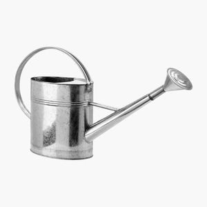 Arrosoir décoratif en métal pour jardin domestique, design élégant, matériau durable, bec long pour une arrosage précis. - Product Image 3