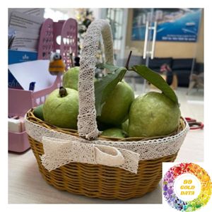Panier en rotin naturel tressé en gros, grand et petit, avec poignée, pour présentation en magasin, rangement et événements - Product Image 1