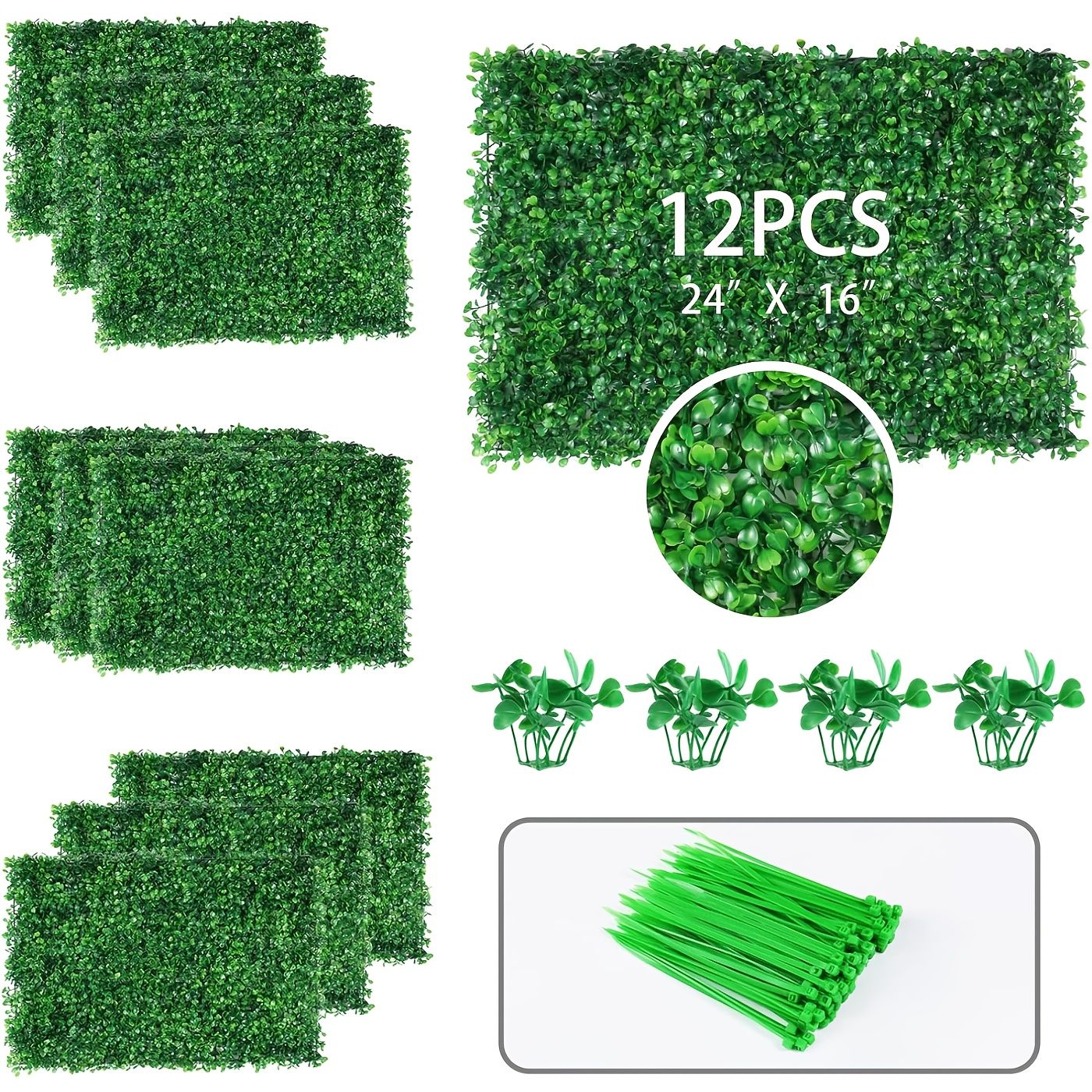 Green 12 PCS Color