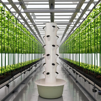 Tour hydroponique en gros Système d'arrosage de jardin vertical Tours de culture de légumes verticales