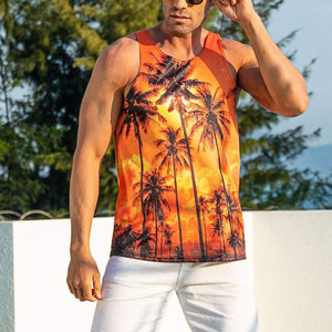 Camiseta sin Mangas para Hombre a Precio Bajo, Moda de Verano, Camiseta sin Mangas para Hombre de Alta Calidad y Transpirable - Product Image 6