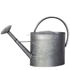 Regadera de granja de estilo bohemio para accesorios de suministro de jardín, regadera de caña de agua de Metal decorativa a un precio razonable - Product Image 4