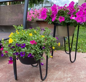 Unique Shaped Indoor Waste <b>Bin</b> Metal with Best Finished Perfect for Stylish Hotel Customized Size & Shapes at Wholesale Prices - Product Image 1