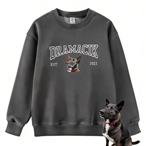 Personnalisé Brodé Cavalier King <span class=keywords><strong>Charles</strong></span> Spaniel Sweat À Capuche Hiver Automne 3D Motif Tissé Tissu Avant Badge Nom - Product Image 6