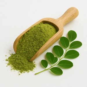 Poudre de feuilles de Moringa pure pour applications alimentaires naturelles, poudre de feuilles finement broyée pour la vente en gros et la fourniture commerciale - Product Image 2