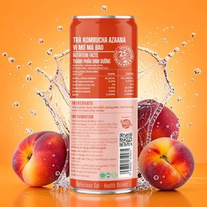 Boisson Kombucha Pêche-Abricot Personnalisée OEM, Thé Fermenté Sucré, Boisson Probiotique Prête à Boire, Vente en Gros - Product Image 5