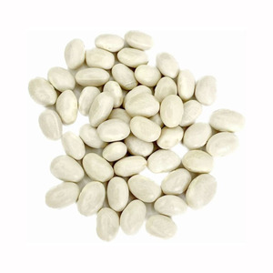 Venta al por mayor de frijoles blancos: Precio de fábrica, frijoles blancos de forma alargada - Product Image 1