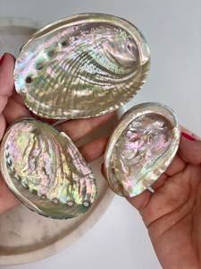 Bulk Natural <b>Abalone</b> <b>Shell</b> Decorative Seashell for Jewelry Craft Home Decoration Wedding Wholesale Vietnam Supplier - Product Image 4