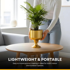 Jardinière en fer de qualité supérieure, finition dorée, pour la décoration intérieure et extérieure, exportation mondiale depuis l'Inde - Product Image 2