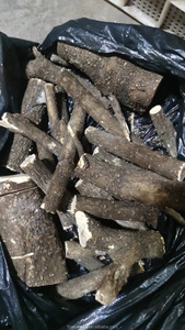 Serum Herbal Tiongkok, kantung/kantong/potongan/campuran/ekstrak, teh kustom, Cortex Herbal China, akar rhizom, acanthoganax, kering - Product Image 6