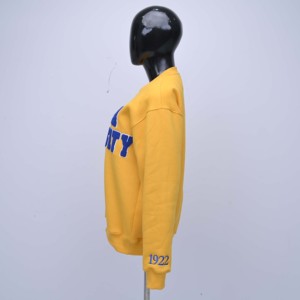 Sweat-shirt pour femme de haute qualité avec logo personnalisé et broderie de serviette premium sur le devant, col rond, manches longues, style streetwear - Product Image 4