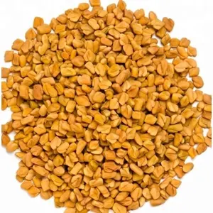 Chất lượng tốt Fenugreek hạt giống cho tóc tăng trưởng, tất cả khô tự nhiên Ấn Độ Methi hạt giống cho nấu ăn