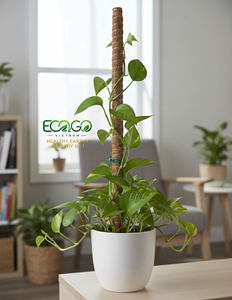 Poste de Musgo de Coco Natural – Soporte Ecológico para Plantas en Viveros, Centros de Jardinería y Plantas de Interior Eco2go Vietnam - Product Image 1