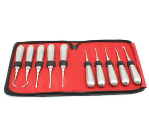 Juego de 10 Elevadores de Raíces de Acero Inoxidable para Extracción Dental, Instrumentos de Cirugía Dental con Certificación CE, Endopro Care - Product Image 4