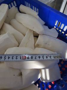 เผือกแช่แข็งแปรรูปสำหรับผลิตเครื่องดื่มและเบเกอรี่ เนื้อสัมผัสเนียนละเอียด พร้อมบรรจุภัณฑ์สำหรับส่งออก - Product Image 5