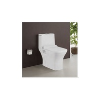 WC monobloc mural sans bride en céramique moderne avec siphon en P pour villas, salles de bain et hôtels – Installation facile