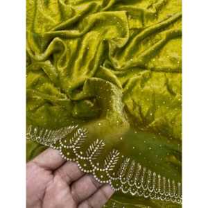 Hermosos vestidos de noche elegantes Jarkhan Diamond Work Party Wear Saree - Product Image 3