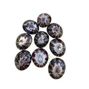 Coquillages naturels en vrac, écologiques, pour souvenirs et décoration de maison sur le thème de la plage, Vietchoice - Product Image 2