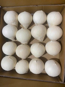 มะพร้าวขัดเงาทั้งลูก โคโค่ เฟรสโก ปูลิโด โคโคส โปรแอสพาต เดโคจิต ผู้ส่งออก (WA +84914319488) - Product Image 1