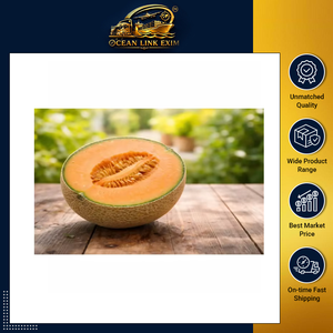 OCEAN LINK EXIM Melon d'été frais, naturellement sucré et juteux, qualité A, pour l'exportation en gros - Product Image 2