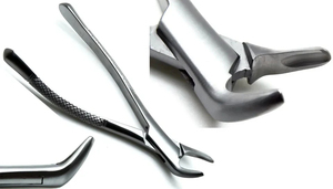 ชุดคีมถอนฟันสแตนเลสแบบใช้ซ้ำได้ 12 ชิ้น โดย Bone Bridge Instruments - Product Image 3
