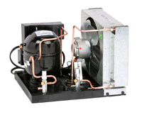 Unité de condensation de compresseur de réfrigération compacte 3/4 HP