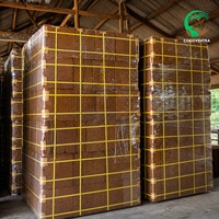 Bloc de coco compressé 5kg, Cocopeat triple lavage, haute rétention d'eau, hydroponie, Inde, Tamil Nadu, export en vrac, palettisé