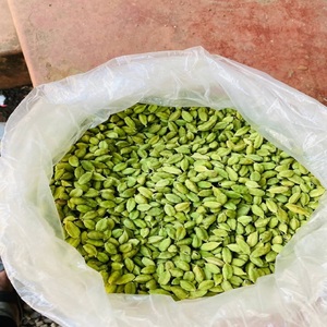 Hierbas de Cardamomo Verde Orgánico de Brasil, Certificado de Cosecha Fresca, Exportación a Granel, Grado Alimenticio, Santos, 24 Meses de Vida Útil - Product Image 6