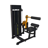 Machine d'extension abdominale et lombaire Brawn Strength pour salle de sport, équipement de musculation OEM ODM BSM-117