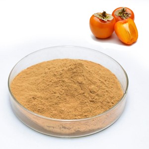 สารสกัดผลไม้ลูกพลับพรีเมียม OEM อัตราส่วน 10:1 (Diospyros kaki) ผงสารสกัดลูกพลับความเข้มข้นสูง ขายส่งจากอินเดีย - Product Image 3