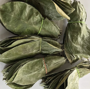 Dried Sousop Leaves Whole Natural Organic Non Sugar <b>Tea</b> Bags 24 Months Shelf Life - Product Image 1